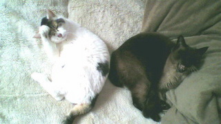 2014020316330000.jpg