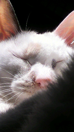 2014103102480000.jpg